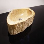 Раковина из окаменелого дерева белая